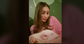 mirabel pet sitter à MONTPELLIER 34080_1