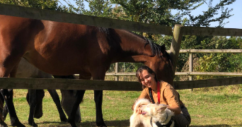 maïa pet sitter à SARTROUVILLE 78500_1