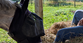 françois pet sitter à NERAC 47600_1