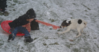 chloé pet sitter à NANCY 54000_5