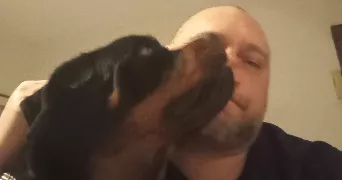 michel pet sitter à PERPIGNAN 66000