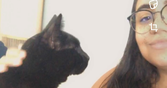 elsa pet sitter à CORBEIL ESSONNES 91100_6