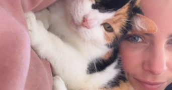 alison pet sitter à LESQUIN 59810_3