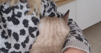 olivia pet sitter à MONTPELLIER 34000_1