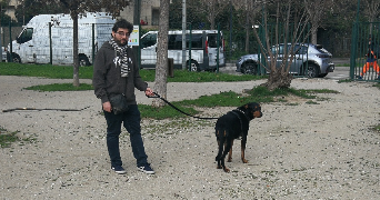 eric pet sitter à TOULON 83200_3