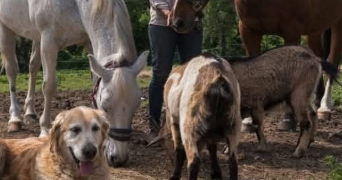 manon pet sitter à VIRE 71260_3