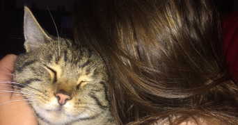 yvanna pet sitter à ORLEANS 45000_1