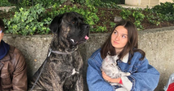 emma pet sitter à GRENOBLE 38000_0