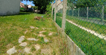 izett pet sitter à LEUVILLE SUR ORGE 91310_4