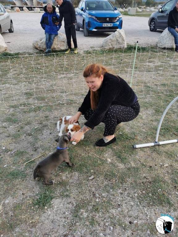 laurene pet sitter à Cenon 33150_3