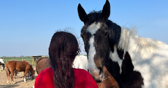 mégane pet sitter à CREPY EN VALOIS 60800_5