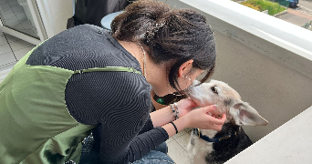 isabella pet sitter à PARIS 19 75019_2