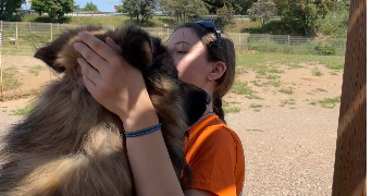 eloïse pet sitter à MONTPELLIER 34000_1