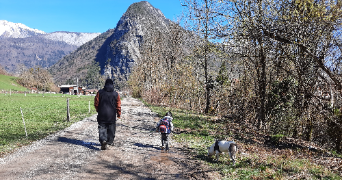 cedric dog sitter à THONES 74230_3