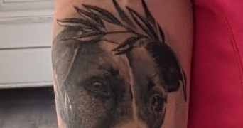 sylvie pet sitter à ENTRELACS 73410_0