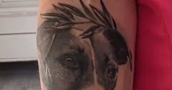 sylvie pet sitter à ENTRELACS 73410