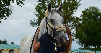 valentine pet sitter à AMIENS 80000_3