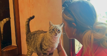 léa pet sitter à KOLBSHEIM 67120_2