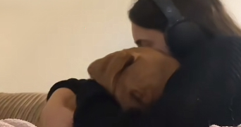 jeanne pet sitter à LILLE 59800_5