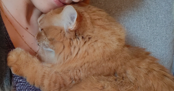 sophie pet sitter à RAMONVILLE ST AGNE 31520_2