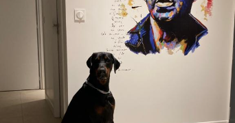 charles pet sitter à NAINVILLE LES ROCHES 91750_0