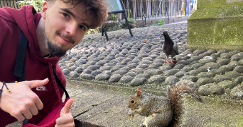 noé pet sitter à MONTREUIL JUIGNE 49460_1