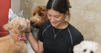 jenna pet sitter à DAIX 21121