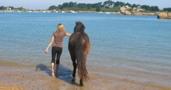 lisa pet sitter à COMMANA 29450_1