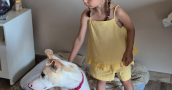 jessica pet sitter à NICE 06000_6