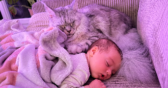 maëva pet sitter à CHERENCE 95510_2