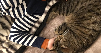 marie pet sitter à CHAMBERY 73000_4