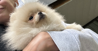 manon pet sitter à GENNEVILLIERS 92230_0