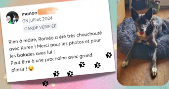 karen pet sitter à MAYENNE 53100_3