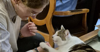 flavie pet sitter à RUEIL MALMAISON 92500_0