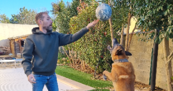 stephane pet sitter à SALON DE PROVENCE 13300_4