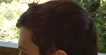 guillaume pet sitter à LYON 03 69003_2