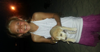 claire pet sitter à LAUTERBOURG 67630_0