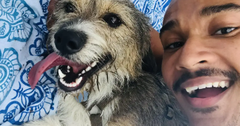 théo pet sitter à NANTES 44200_0