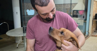 caio pet sitter à LA COURNEUVE 93120_0