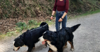 patrycja pet sitter à STRASBOURG 67100_3