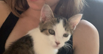 mallaurie cat sitter à VALLET 44330_0