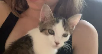 mallaurie cat sitter à VALLET 44330