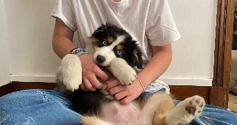 chloé pet sitter à CHOISY LE ROI 94600_2