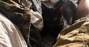 andrey pet sitter à PARIS 11 75011_2