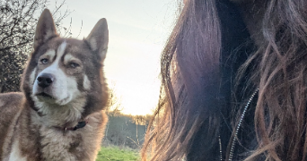 louise pet sitter à VALENCE EN POITOU 86700_4