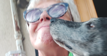 dominique pet sitter à BAZAS 33430_5