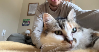reynald pet sitter à BOURG LES VALENCE 26500_1