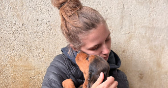 flora pet sitter à BARD LES PESMES 70140_0