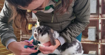 stéphanie pet sitter à BLOIS 41000_2