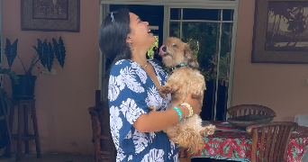 manihi pet sitter à TOULOUSE 31100_3